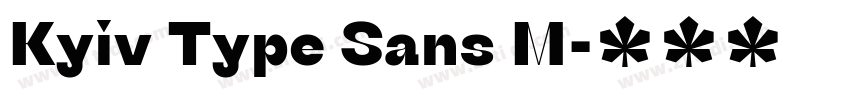 Kyiv Type Sans M字体转换